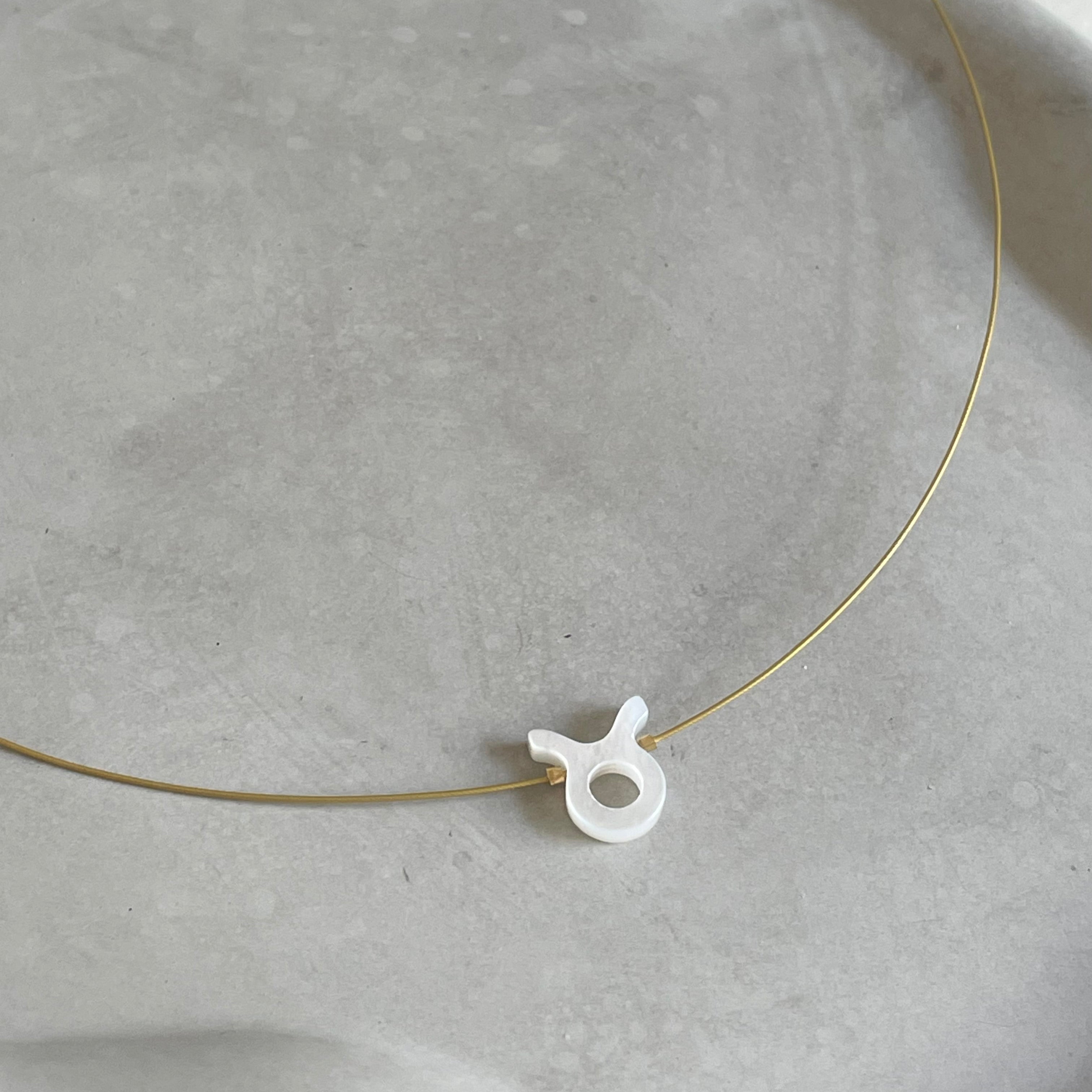Zodiac Signs Choker Necklace