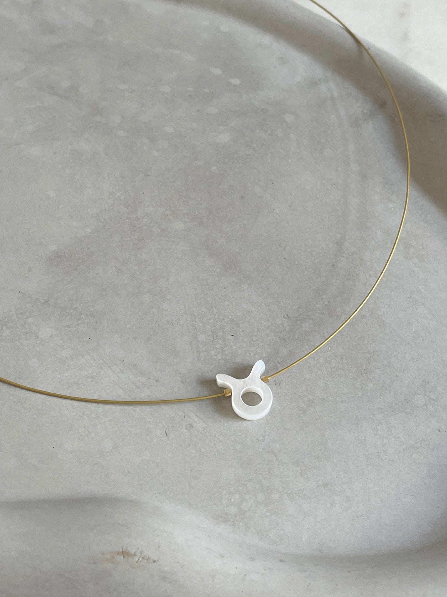 Zodiac Signs Choker Necklace