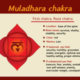 Root Chakra Gold Necklace with Carnelian