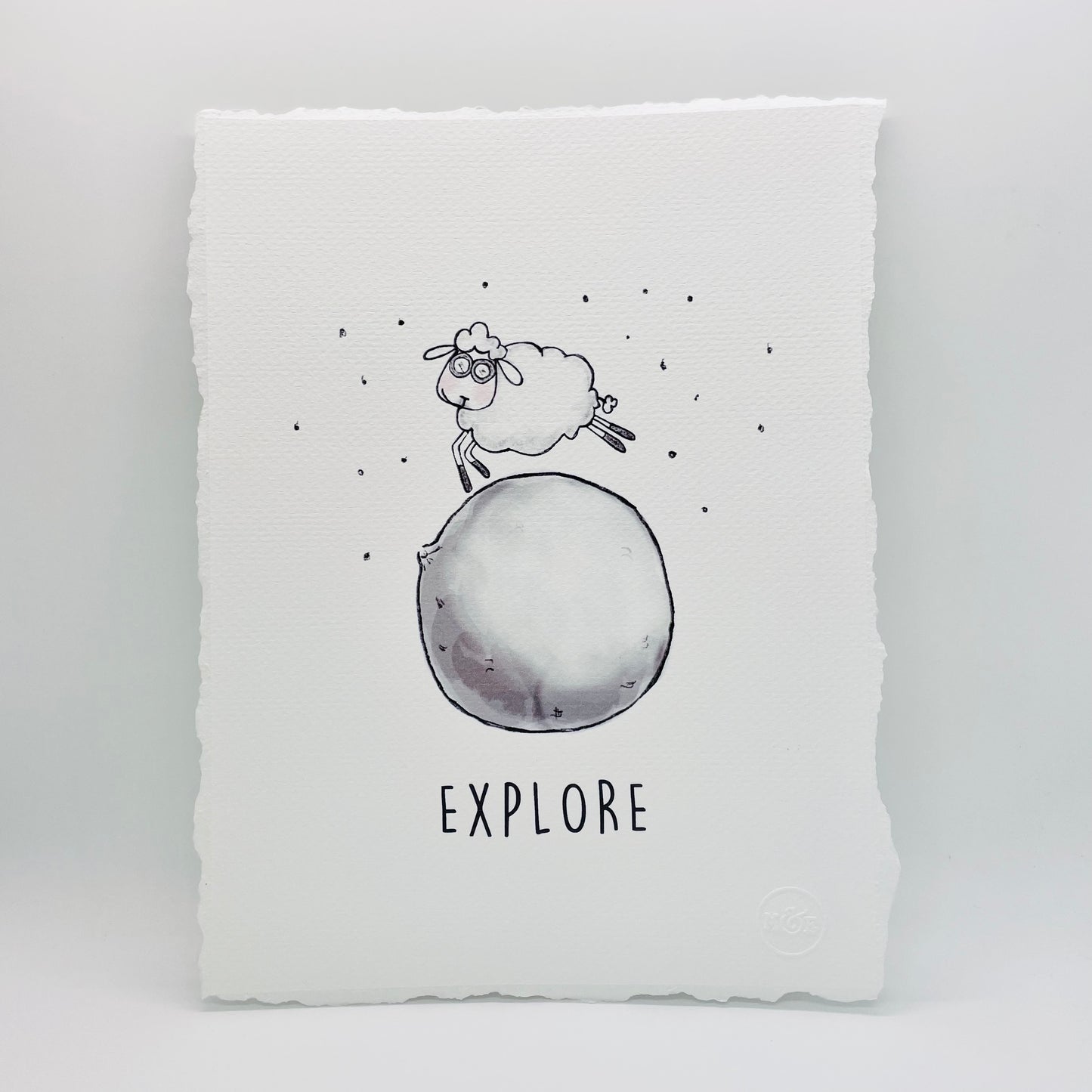 Explore Sheep