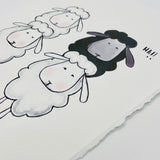 Black Sheep