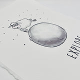 Explore Sheep