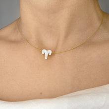 Load image into Gallery viewer, Zodiac Signs Choker Necklace
